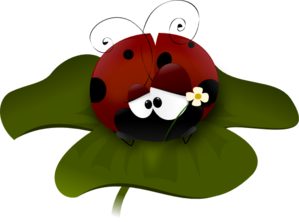 Pretty Ladybug On A Clover Clip Art